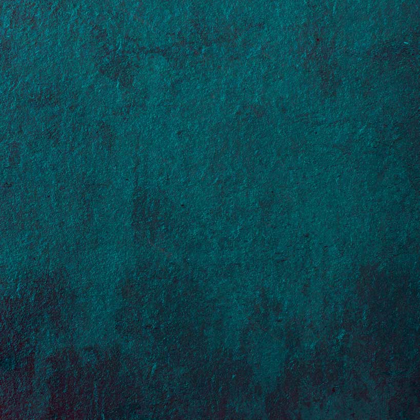 ExcellCo-bleu 02
